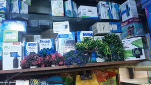 اکواریوم هفت دریا