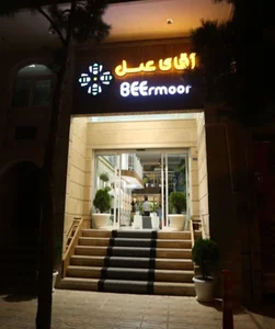 گالری آقای عسل