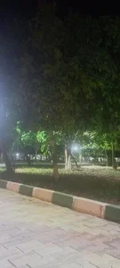 پارک نسترن 3