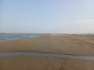 پلاژ عسل