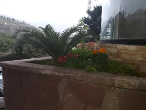 دبیرستان دخترانه دانشور