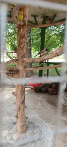 پارک گردشگری ولیعصر 4