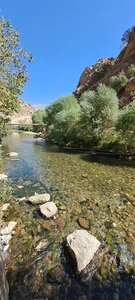 مجتمع اقامتی پذیرایی عزیزی