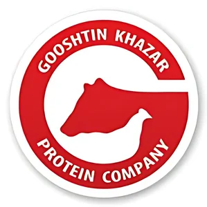 شرکت گوشتین 2