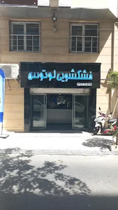 خشکشویی لوتوس