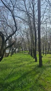 بوستان نوید