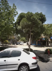 تعمیرگاه موتورسیکلت رضا