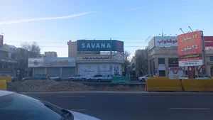 فروشگاه مرغ ساوانا