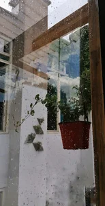 پلاکیفای