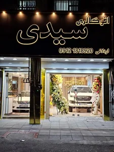 اتو گالری سیدی 2