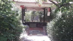 کافه جنگلی 3