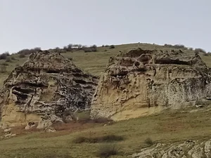 سیاه داران