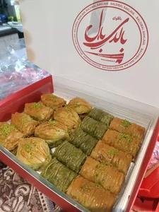فروشگاه بالدی بال 4