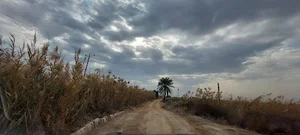 حسینیه الحیدریه ام العجاج