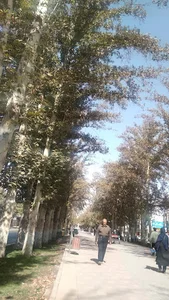 بلوار دشت بهشت