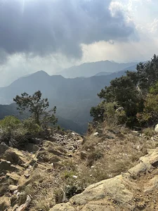 مطل السوده