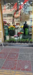 گل بهار 5