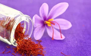 نمایندگی زعفران سرگل شیرازی (استهبان و قائنات)