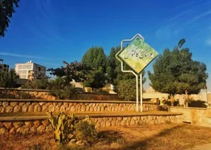 بوستان کاکتوس 4