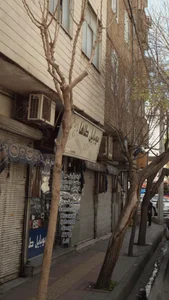 موبایل طاها