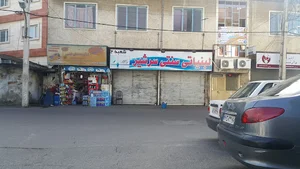 لبنیات سرشیر و ترشیجات