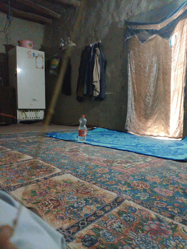 کلینیک و پت شاپ گاندو