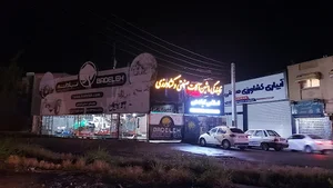 تعمیرگاه زانتیا