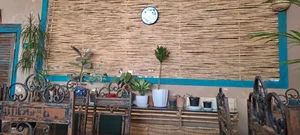 رستوران جان مار 2