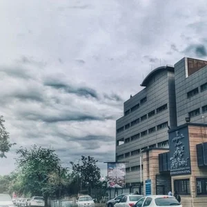 آرش حسنی