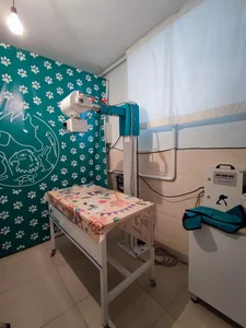 کلینیک دامپزشکی حیوانات خانگی دکتر نوید حاجی علیلو 2