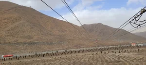 زیپ لاین گردو