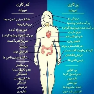 دکتر فاطمه عطایی کچویی 2