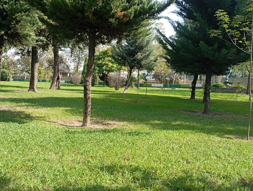 فضای سبز