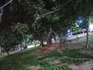 پارک سلمان ساوجی