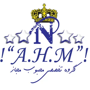 گروه تخصصی محبوب مجاز - شرکت مسینا