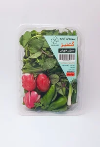 سبزیجات آماده دلسان