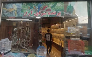 پرنده سرای آراز