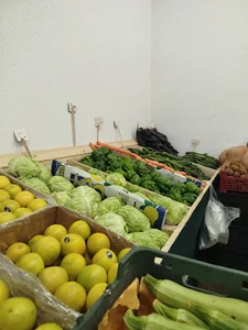 میوه سرای دایی نوری