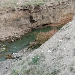 کال چهل بازه 2