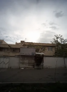 جگرسرای شبهای درختی