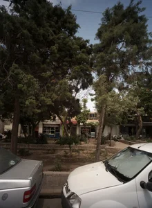 فروشگاه خشکبار