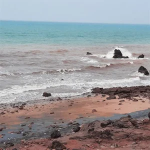 پارک ساحلی هرمز 4