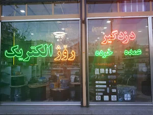 روژ الکتریک