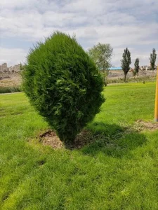 پارک ساحلی پردیس 2