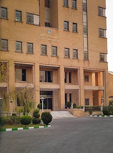 Faculty of Accounting & Financial Sciences