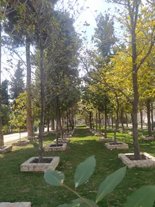 بوستان باغ رز