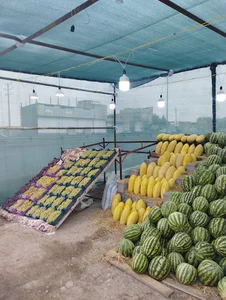 میوه سرای برادران ناظری