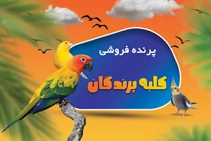 کلبه پرندگان
