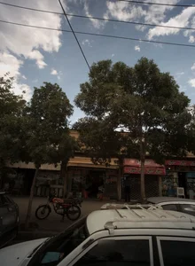 انجیر کشمش عشقی