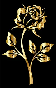 goldenrose jewelery/جواهری رز طلایی